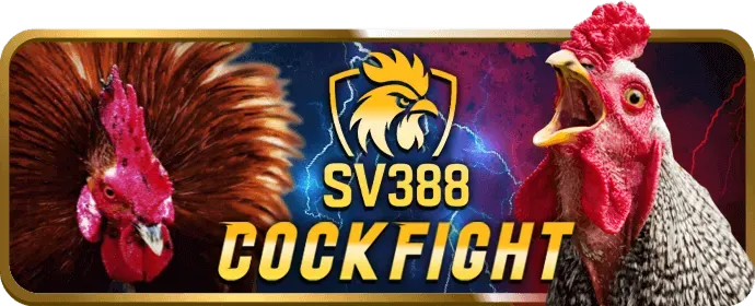 Đá gà trực tiếp fb66